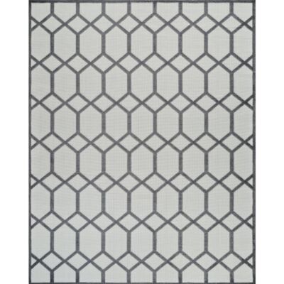 ASPEN GREY 1379 IN/OU 5X7 RUG