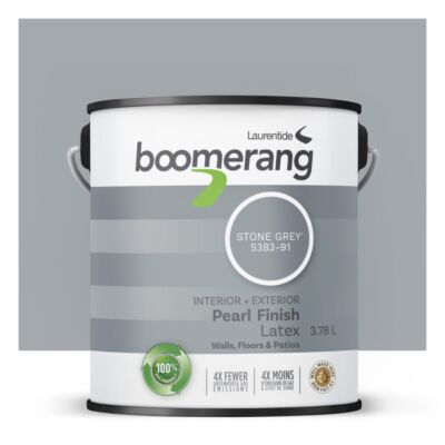 Boomerang STONE GREY Interior/Exterior 3.78L