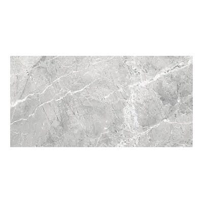 Regency Mica Matte Glazed Porcelain Tile – 12" x 24"